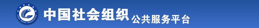 日本人日BB全国社会组织信息查询